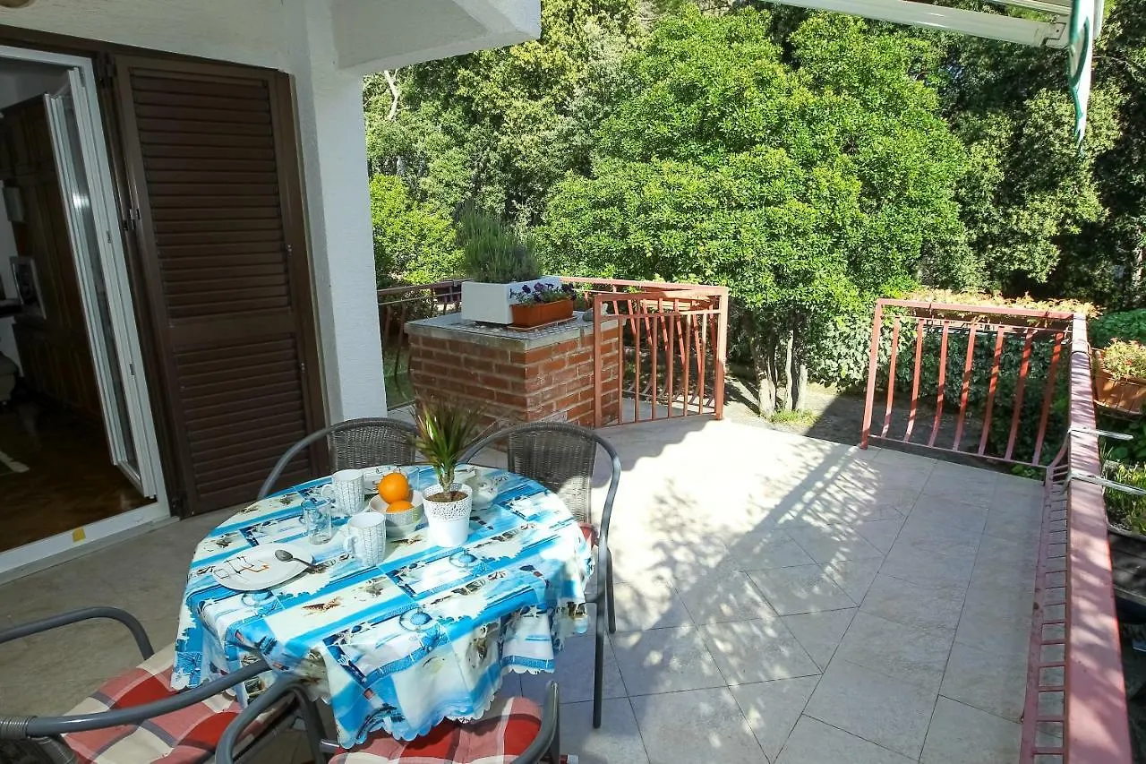 Villa Palma Petrcane Holiday home