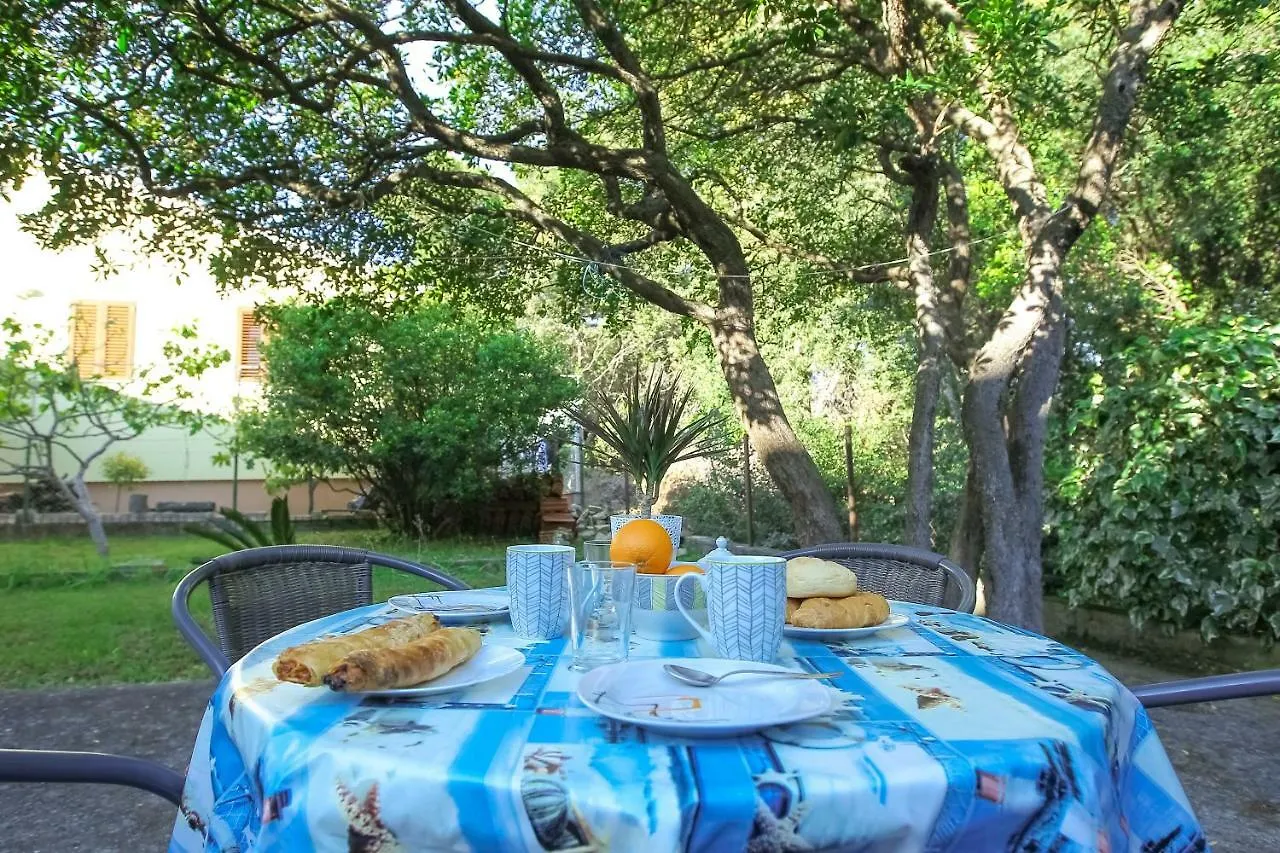 Holiday home Villa Palma Petrcane